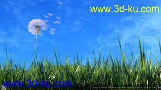 3D打印模型iREAL Animated Dandelion的图片