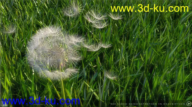 iREAL Animated Dandelion模型的图片3