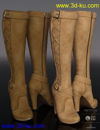3D打印模型Joey Boots for Genesis 8 Female(s)的图片