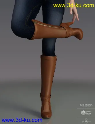 3D打印模型Joey Boots for Genesis 8 Female(s)的图片