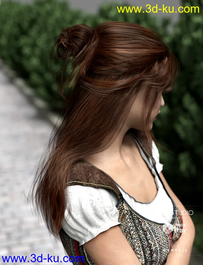 Kanzashi Hair for Genesis 3 Female(s)模型的图片2