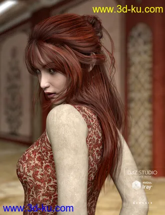 3D打印模型Kanzashi Hair for Genesis 3 Female(s)的图片