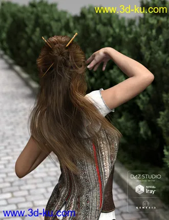 3D打印模型Kanzashi Hair for Genesis 3 Female(s)的图片