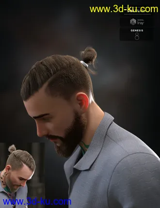 3D打印模型Koryan Top Braid Hair and Beard Set for Genesis 8 Male(s)的图片