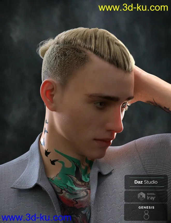 Koryan Top Braid Hair and Beard Set for Genesis 8 Male(s)模型的图片2