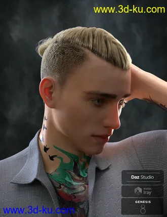 3D打印模型Koryan Top Braid Hair and Beard Set for Genesis 8 Male(s)的图片