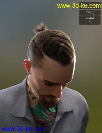 3D打印模型Koryan Top Braid Hair and Beard Set for Genesis 8 Male(s)的图片