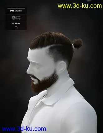 3D打印模型Koryan Top Braid Hair and Beard Set for Genesis 8 Male(s)的图片
