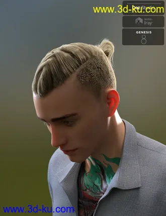 3D打印模型Koryan Top Braid Hair and Beard Set for Genesis 8 Male(s)的图片