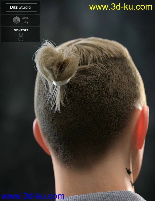 Koryan Top Braid Hair and Beard Set for Genesis 8 Male(s)模型的图片8