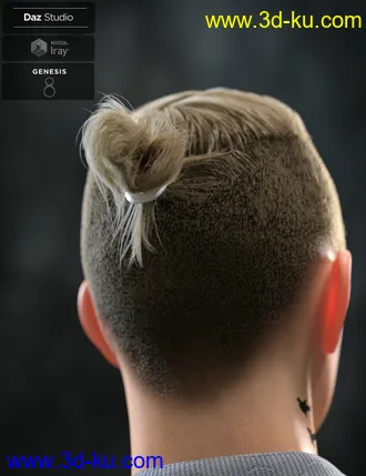 3D打印模型Koryan Top Braid Hair and Beard Set for Genesis 8 Male(s)的图片