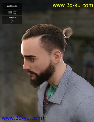 3D打印模型Koryan Top Braid Hair and Beard Set for Genesis 8 Male(s)的图片