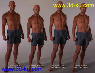 3D打印模型Leroy 8的图片