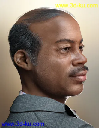 3D打印模型Lewis HD for Leroy 8的图片