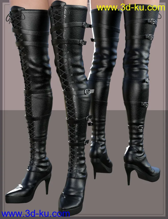 Long Lace Up Boots for Genesis 8 Female(s)模型的图片2