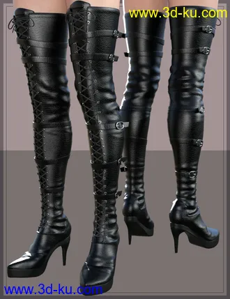 3D打印模型Long Lace Up Boots for Genesis 8 Female(s)的图片