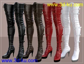 3D打印模型Long Lace Up Boots for Genesis 8 Female(s)的图片