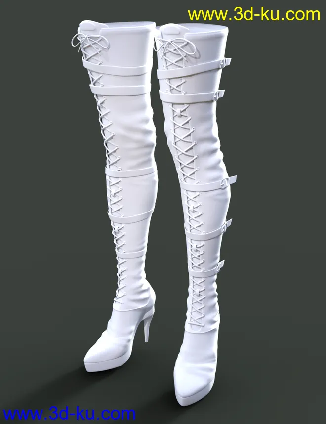 Long Lace Up Boots for Genesis 8 Female(s)模型的图片4