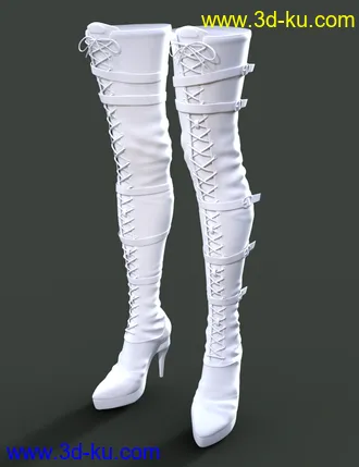 3D打印模型Long Lace Up Boots for Genesis 8 Female(s)的图片