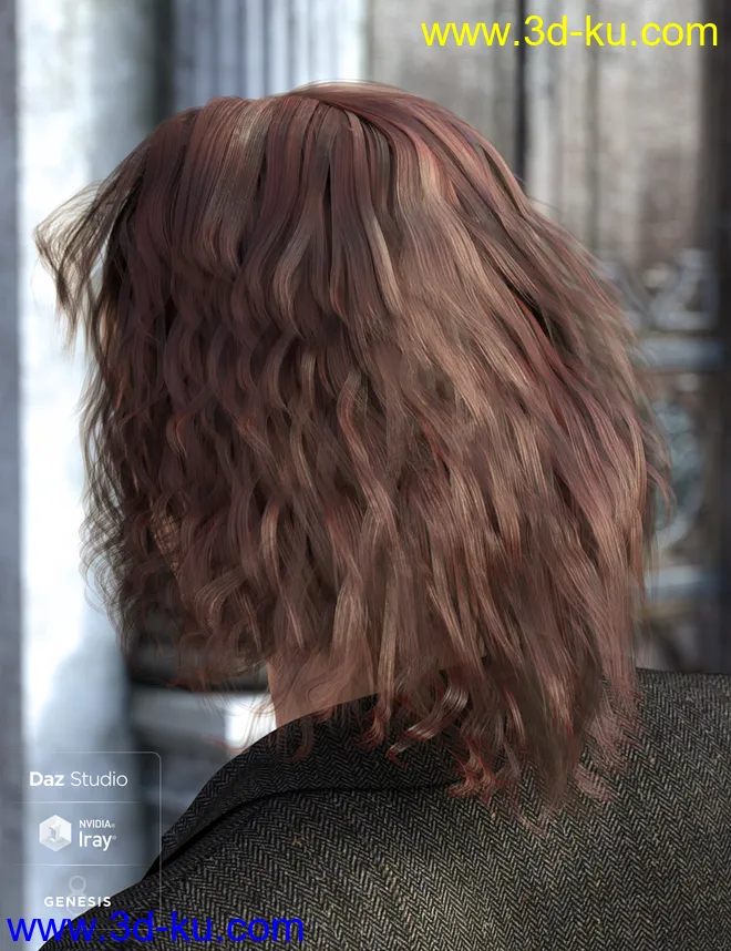 Long Mane Hair for Genesis 3 and 8 Male(s)模型的图片3