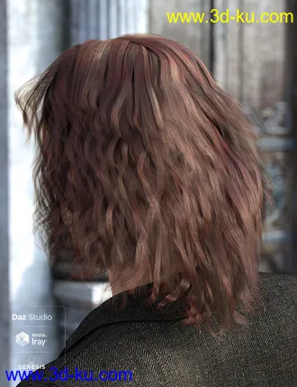 3D打印模型Long Mane Hair for Genesis 3 and 8 Male(s)的图片