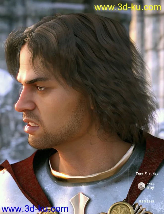 Long Mane Hair for Genesis 3 and 8 Male(s)模型的图片5