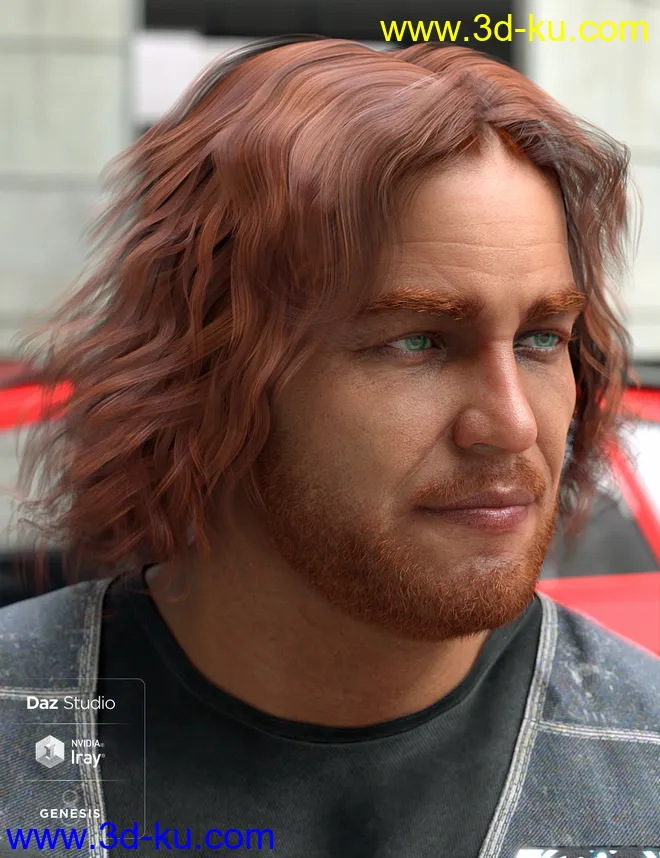 Long Mane Hair for Genesis 3 and 8 Male(s)模型的图片6