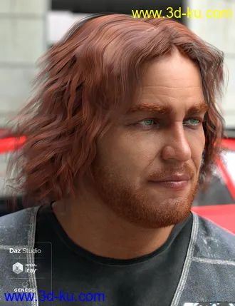 3D打印模型Long Mane Hair for Genesis 3 and 8 Male(s)的图片