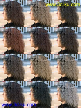 3D打印模型Long Mane Hair for Genesis 3 and 8 Male(s)的图片