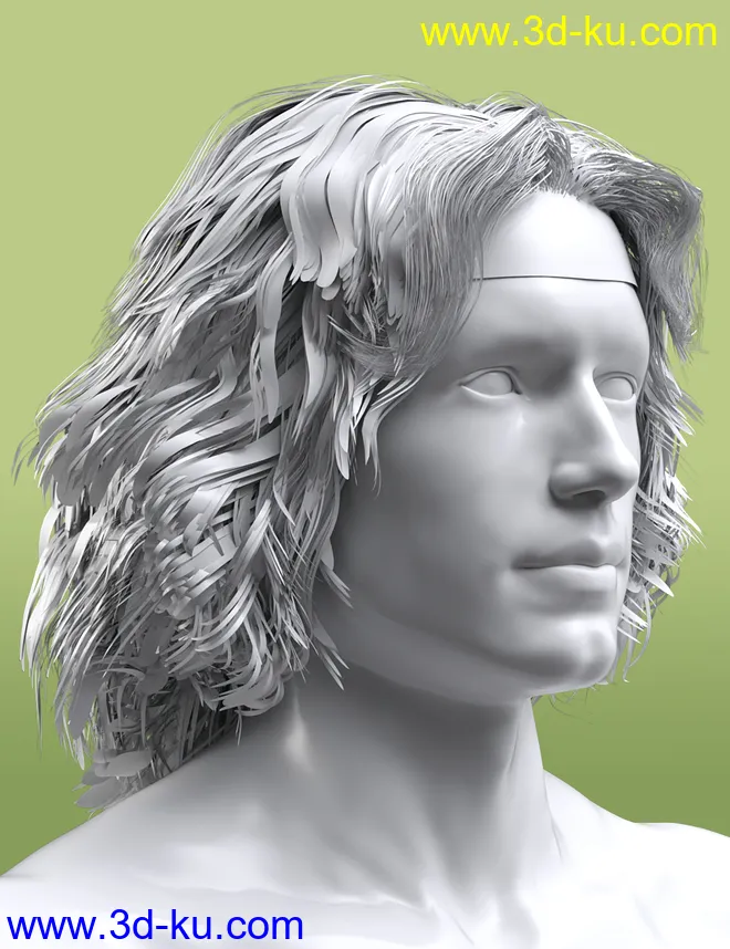 Long Mane Hair for Genesis 3 and 8 Male(s)模型的图片8
