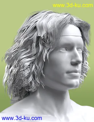 3D打印模型Long Mane Hair for Genesis 3 and 8 Male(s)的图片