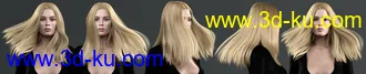 3D打印模型Lynna Hair For Genesis 8 Female(s)的图片