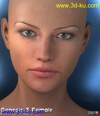 3D打印模型Master Skin Resource 11 - Genesis 3 Female + Genesis 8 Female的图片