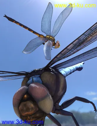 3D打印模型Meshworkz Dragonfly的图片