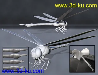 3D打印模型Meshworkz Dragonfly的图片