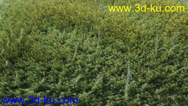 Modular Field Environment模型的图片6