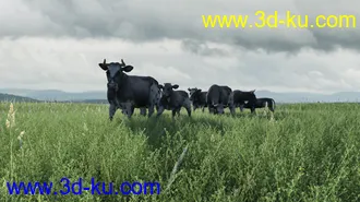 3D打印模型Modular Field Environment的图片