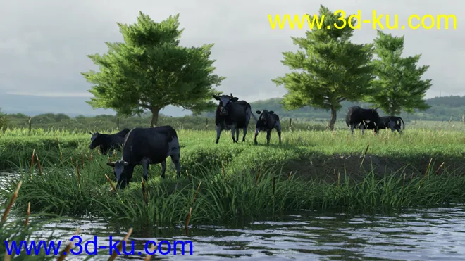 Modular Field Environment模型的图片11
