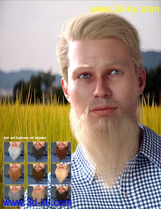 3D打印模型Morphing Turban and Beard for Genesis 8 Male(s)的图片