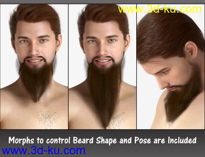 Morphing Turban and Beard for Genesis 8 Male(s)模型的图片3