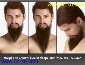 3D打印模型Morphing Turban and Beard for Genesis 8 Male(s)的图片