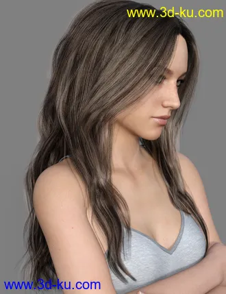 3D打印模型MRL dForce Long Layered Hair for Genesis 8 Female with Colour Mixing的图片