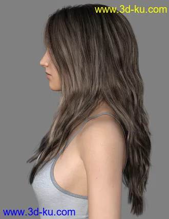 3D打印模型MRL dForce Long Layered Hair for Genesis 8 Female with Colour Mixing的图片