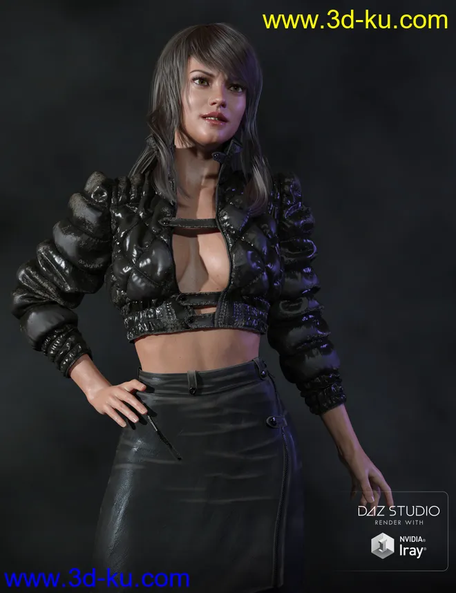 Muelsfell Heroic Studio Backdrops with Iray Presets模型的图片2