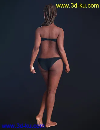 Nida 8模型的图片4