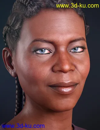 3D打印模型Nida 8的图片