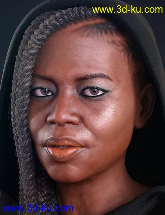 Nida 8模型的图片7