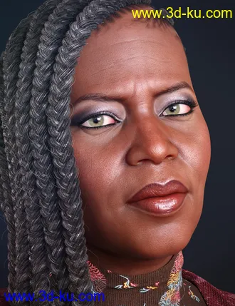 Nida 8模型的图片8