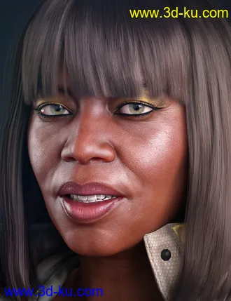 Nida 8模型的图片9