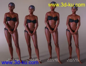 3D打印模型Nida 8的图片